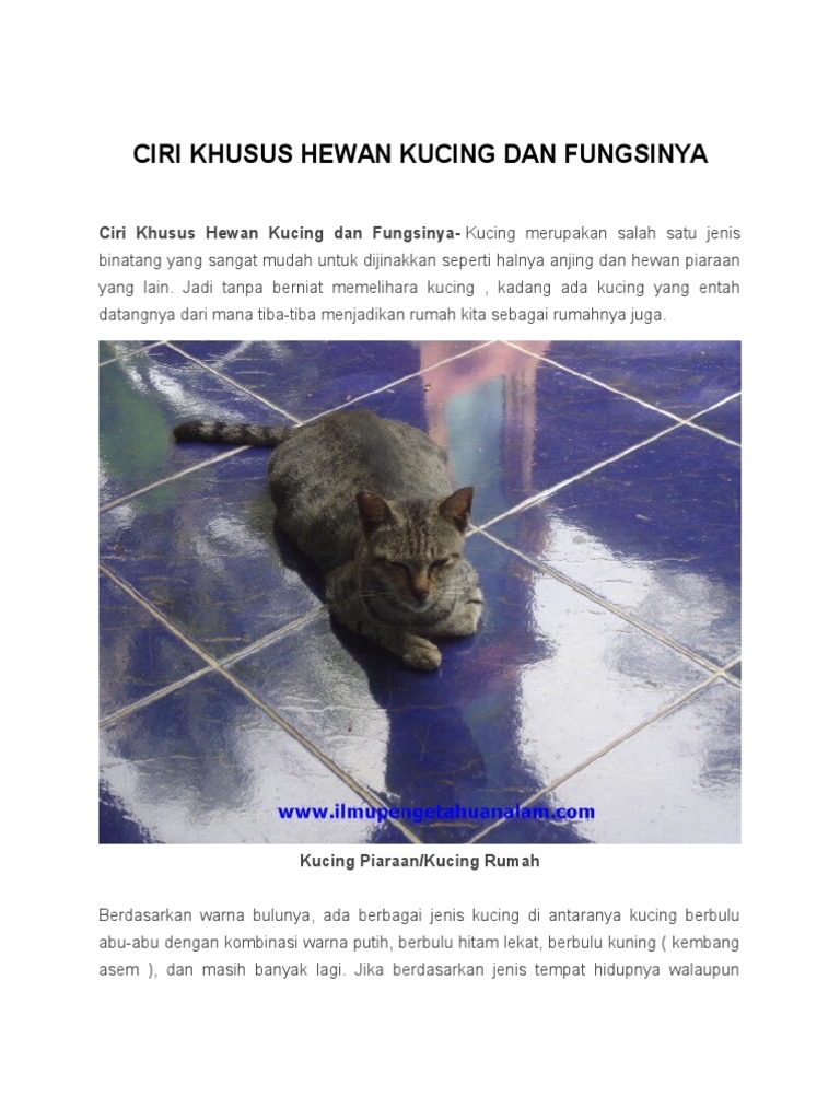 Ciri Khusus Hewan Kucing Dan Fungsinya  PDF