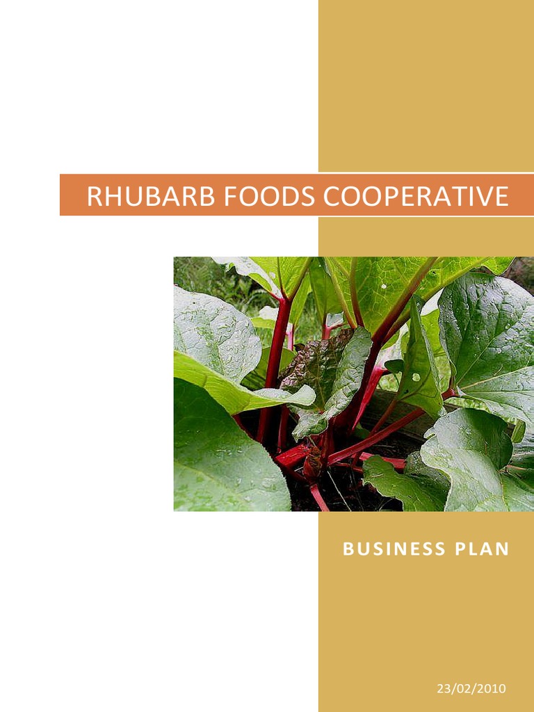 Rhubarb corms picture