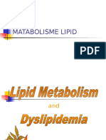 Matabolisme Lipid