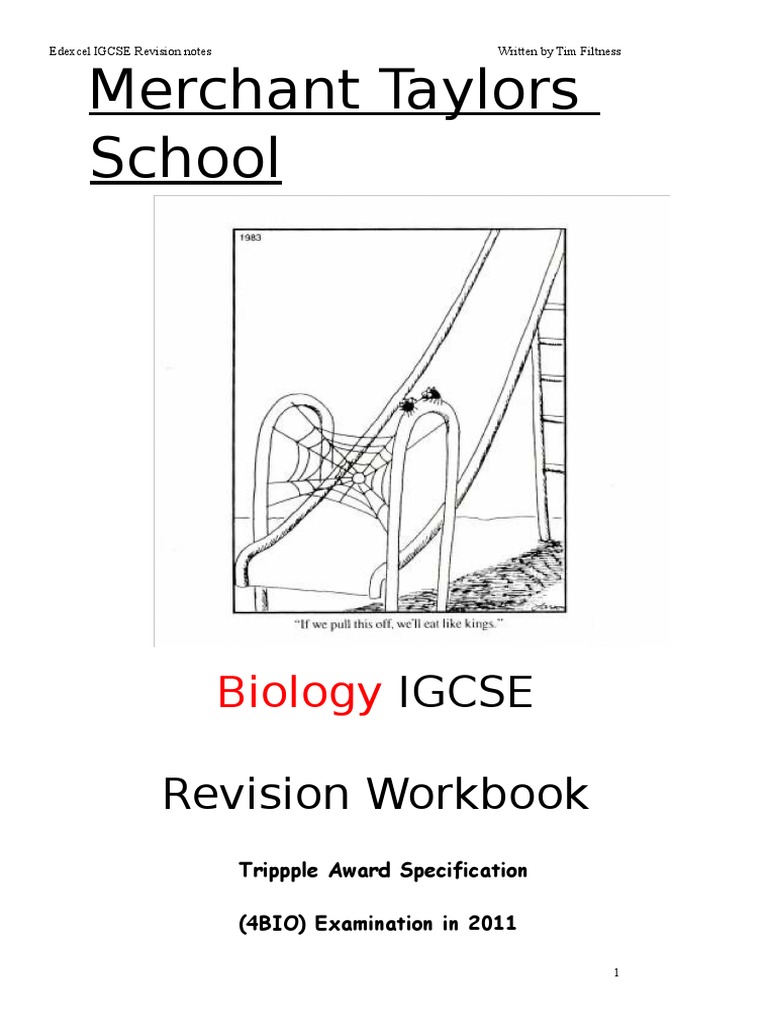 Edexcel IGCSE Biology Revision Notes | PDF | Eye | Digestion