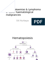 Haematological Malignancies