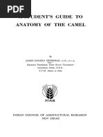 Anatomy Of The Camel Vertebra Skull