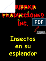 Insectos en Su Esplendor-10715
