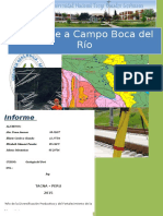 Informe-Boca Del Rio
