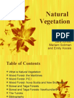 Natural Vegetation: Sara Jones, Mariam Soliman and Emily Kocsis