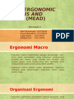 Macroergonomic Analysis and Design (Mead)