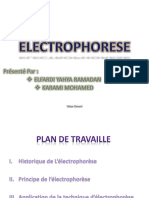 Electrophorèse Des Protiène