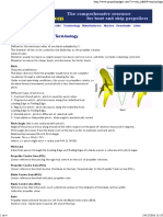 Propeller & Propulsion Terminology