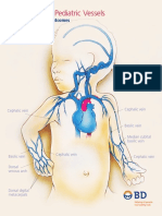 Abord venos nou-nascut.pdf