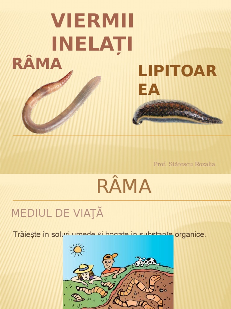 Viermi Inelati Rama Lipitoarea | PDF