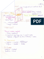 Cursurile de Anatomie Ale Doctorului Niculescu Topografie An I MG