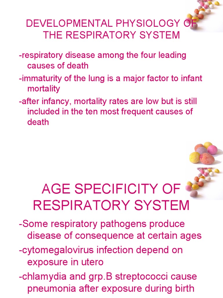 Developmental Physiology of The Respiratory System | PDF | Lung ...