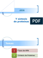 Síntesis de Proteínas