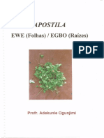 Apostila Ewe (Jimy).pdf