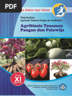 Download Agribisnis Tanaman Pangan Dan Palawija by Fardeean Neyy Thias SN335008474 doc pdf