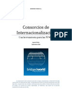 Consorcios-de-internacionalizacion-format.pdf