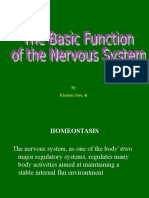 The Basic of Nerves System