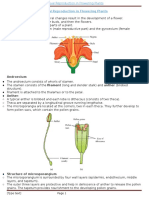 Sexual Reproduction in Flowering Plants Explained