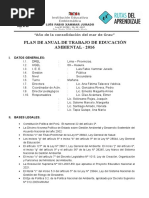 PLAN COMITE AMBIENTAL - 2016.docx