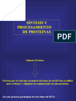 Síntesis Proteica y Procesamiento 2016