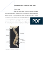 Lesi Sumsum Tulang Belakang Bawah T1