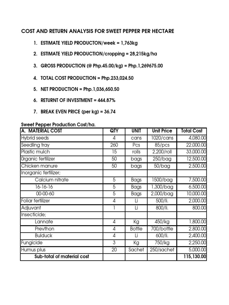 Cost and Return Analysis For Sweet Pepper Per Hectare PDF