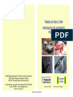 Manual para trabalhos em alturas.pdf