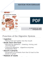 Sistem Pencernaan