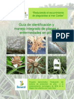 Guía de identificación y manejo integrado de plagas y enfermedades en piña.pdf