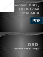 Perbedaan DBD, Tifoid Dan Malaria