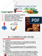 El Curriculum Vitae_juan carlos mendoza alberto