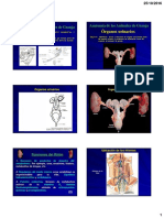 5 Presentacion Anatomia Renal 2016 II