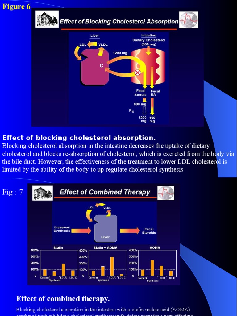 Effect of Blocking Cholesterol Absorption | PDF | Cholesterol | Statin