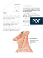 Resumen de Anatomía Del Plexo Cervical