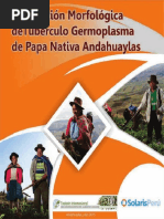 Caracterizacion de Papas Nativas
