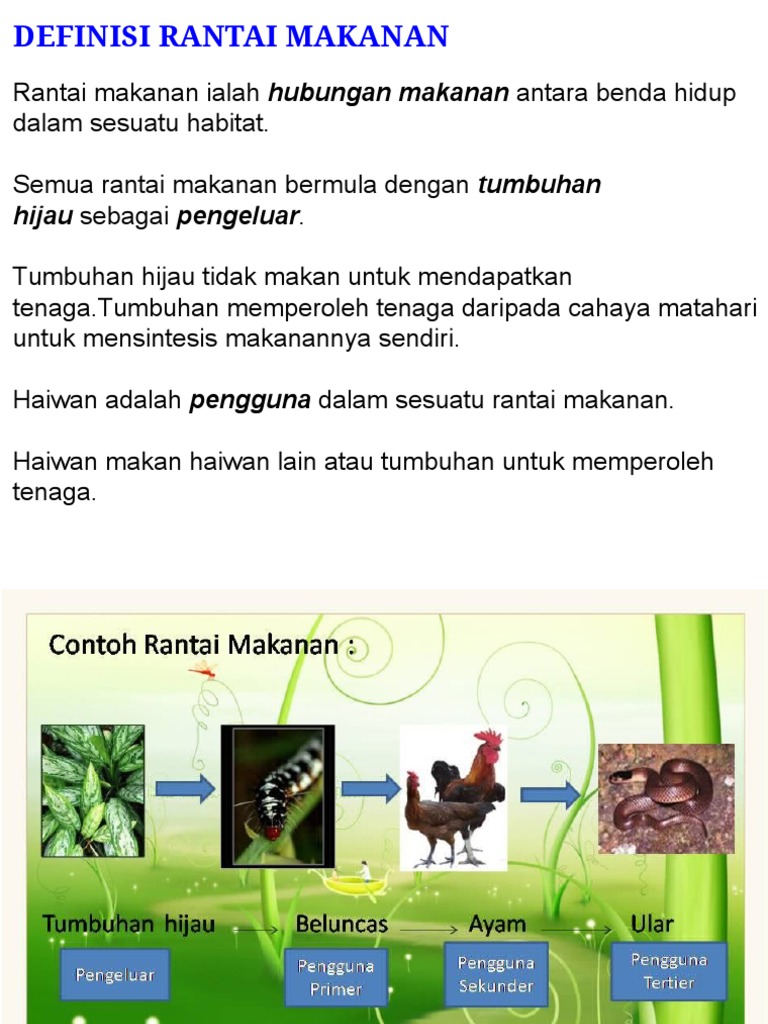 Siratan Makanan Pdf