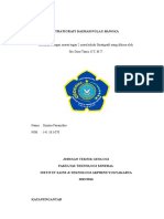 Stratigrafi Daerah Pulau Bangka