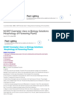 Solutions Morphology of Flowering Plant