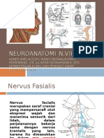 Nervus Fascialis