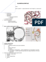 Glomerulopatii