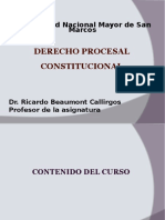 Derecho Procesal Constitucional