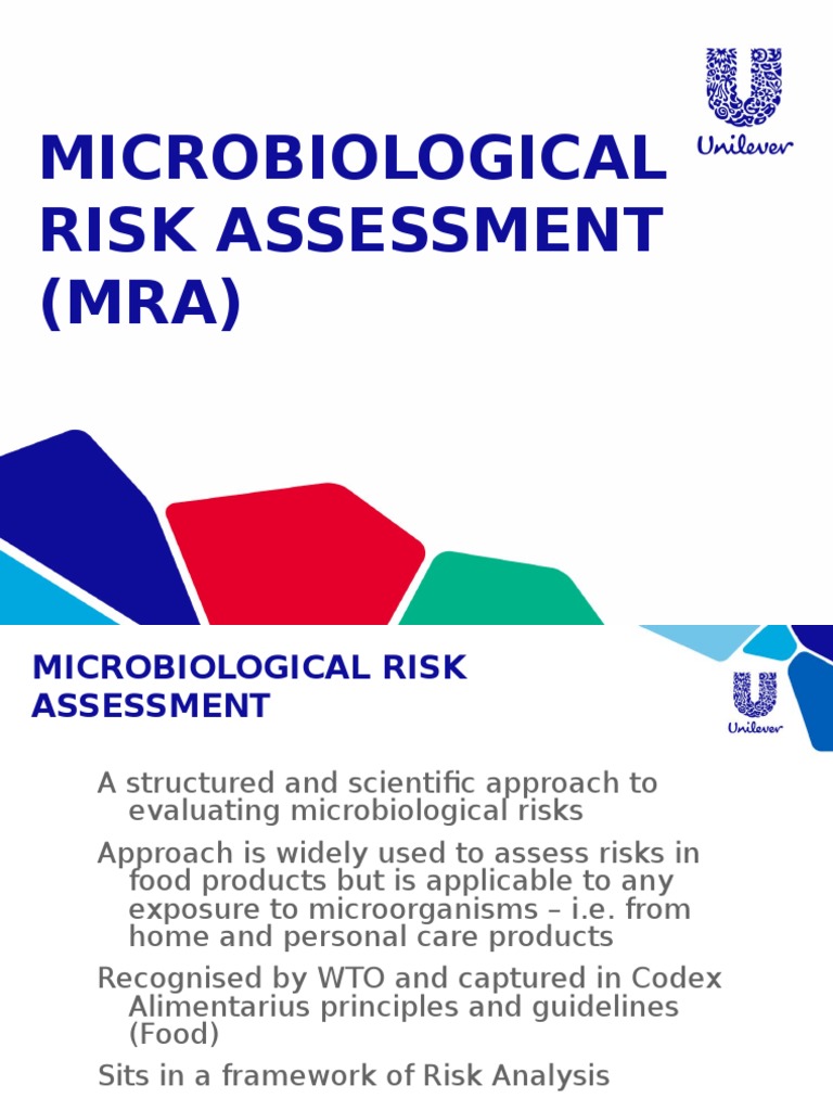 Mra Pdf Risk Risk Management