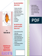 Ablasio Retina-pratiwi Arum Sari