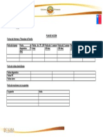 Formato Plan de Acción PDF