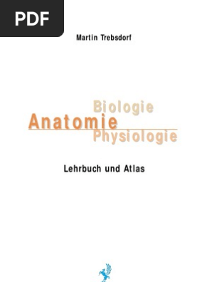 Anatomie Biologie Physiologie