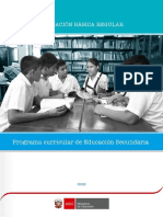 Programa Curricular Educacion Secundaria