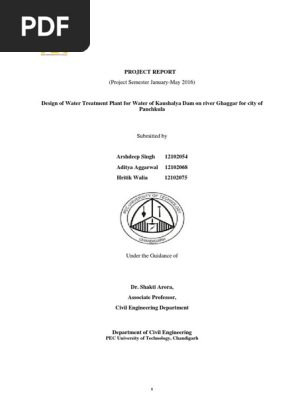 Design of a Water Treatment Plan