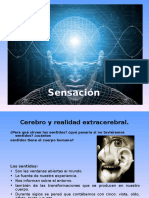 Sensacion y Percepcion