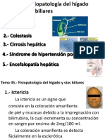 Tema 45 - Fisiopatología Del Hígado y Vías Biliares (Blanco y Negro)