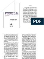 Origen-Pocela.pdf